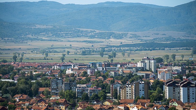 Piro Anci Znaju Da Tede Ali I Da Dobro Zara Uju Serbian News Canada