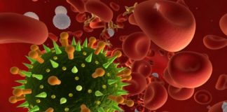 Korona virus, Ričmond