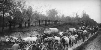 srpska vojska u 1 sv. ratu