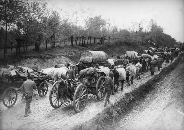 srpska vojska u 1 sv. ratu