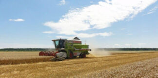 Žetva u Srbiji 2020