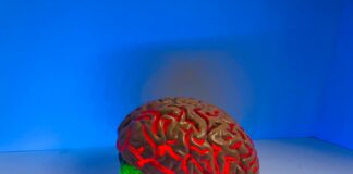 brain figurine