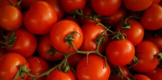 red cherry tomatoes