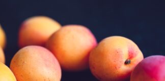 orange and red peaches