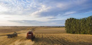 two green and red farm tractors on field under blue and grey cloudy sky