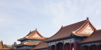 brown and red pagoda