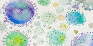 purple and green round textile