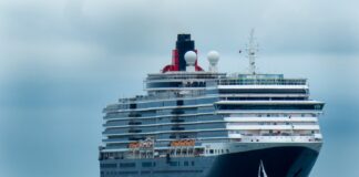 white and black cruise ship on sea during daytime