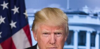 President Donald Trump