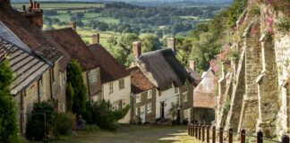 brown and white concrete house near green trees during daytime