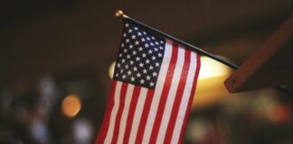 selective focus photography of USA flaglet