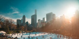 people ice skating in the park at daytime