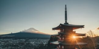 pagoda temple surrounded by trees