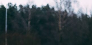 shallow focus photo of toddler walking near river