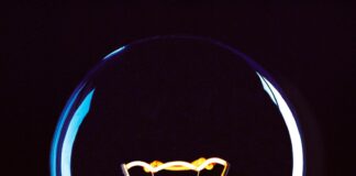 light bulb illustration