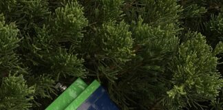 a blue sign with white text