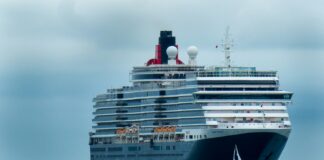 white and black cruise ship on sea during daytime