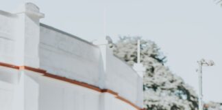 man in white t-shirt playing basketball during daytime