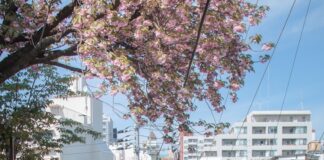 red staircase bar handle