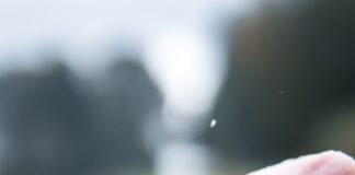 person wearing Apple Watch at 14:24