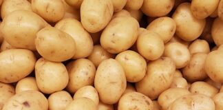 yellow round fruits on white surface