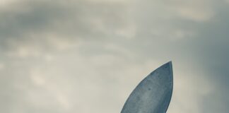 person holding black handle knife