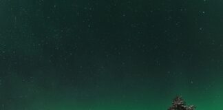 a snow covered field with trees and a green aurora light