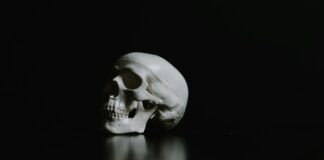 a white skull sitting on a black surface