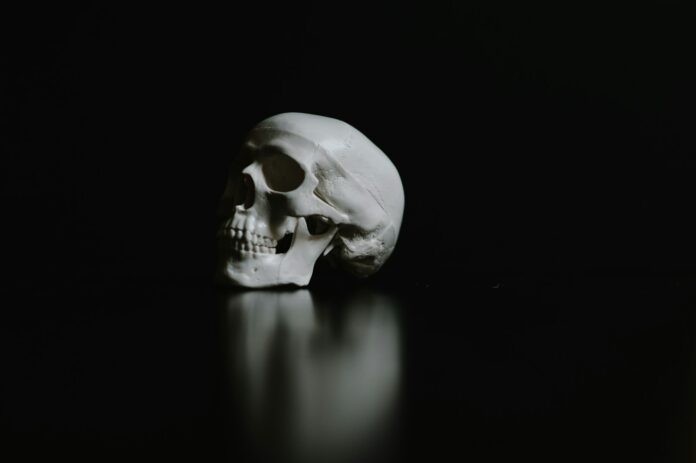 a white skull sitting on a black surface