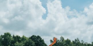 woman in black tank top and black shorts doing exercise during daytime
