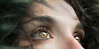 closeup photo of person