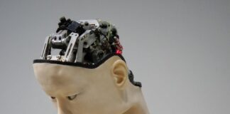 white and brown human robot illustration