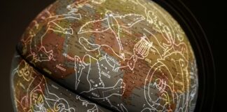 brown and white printed textile