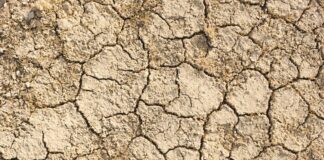 a close up of a cracked surface of dirt