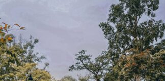 woman in blue denim jacket walking on gray asphalt road during daytime