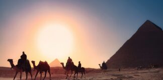 five persons riding camels walking on sand beside Pyramid of Egypt