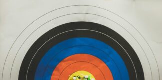 arrows in shooting target