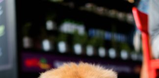 long-coated brown dog