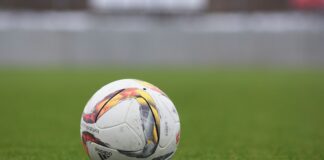 white and gray Adidas soccerball on lawn grass