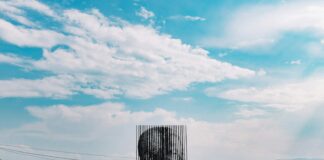 Nelson Mandela artwork at daytime