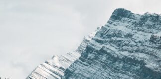 gray concrete road between trees near mountain