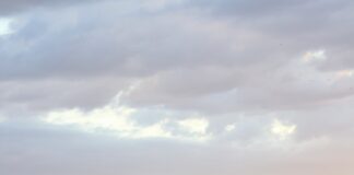 a river with trees and a city in the background