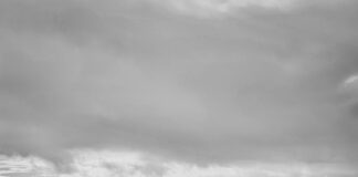 grayscale photo of bench near city buildings