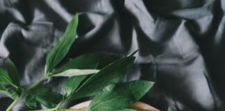 white ceramic mug beside green leaves