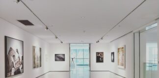 assorted paintings on white painted wall