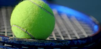 green tennis ball in closeup photography