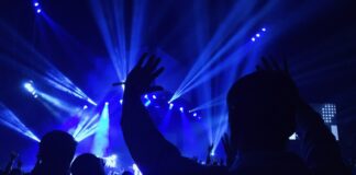 group of people standing inside dome watching concert