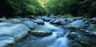 body river surrounded by dress