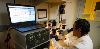 man looking at microscope
