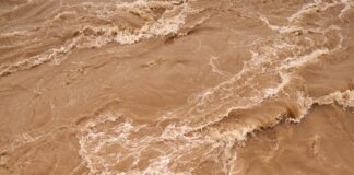 white and brown sea waves